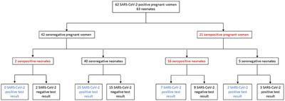 Cord Blood SARS-CoV-2 IgG Antibodies and Their Association With Maternal Immunity and Neonatal Outcomes
